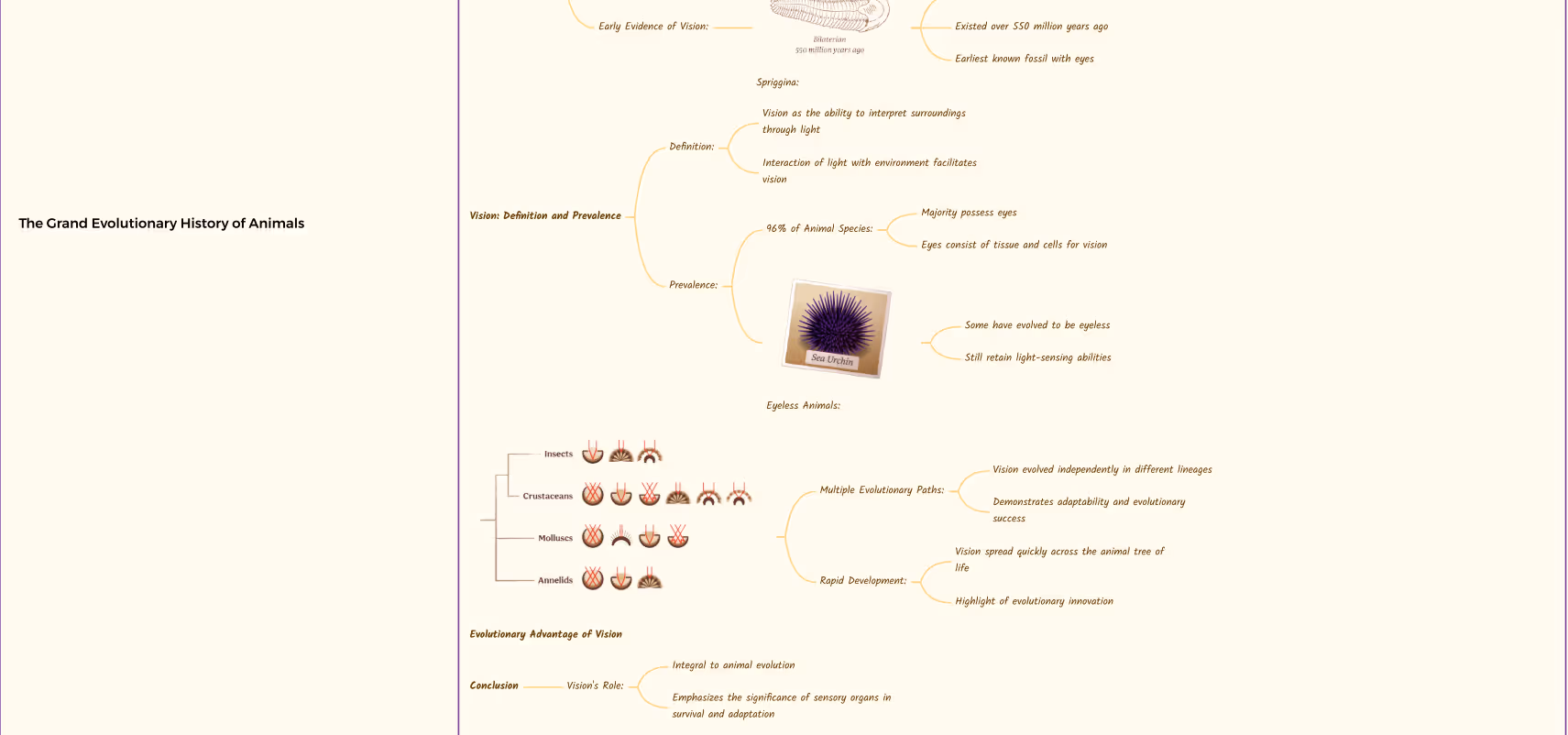 Mind map titled "The Grand Evolutionary History of Animals," visually outlining the evolution of vision in animals, including early evidence from fossils, the definition and prevalence of vision, examples of eyeless animals, multiple evolutionary paths across insects, crustaceans, mollusks, and annelids, and the evolutionary advantages and significance of vision in animal survival.